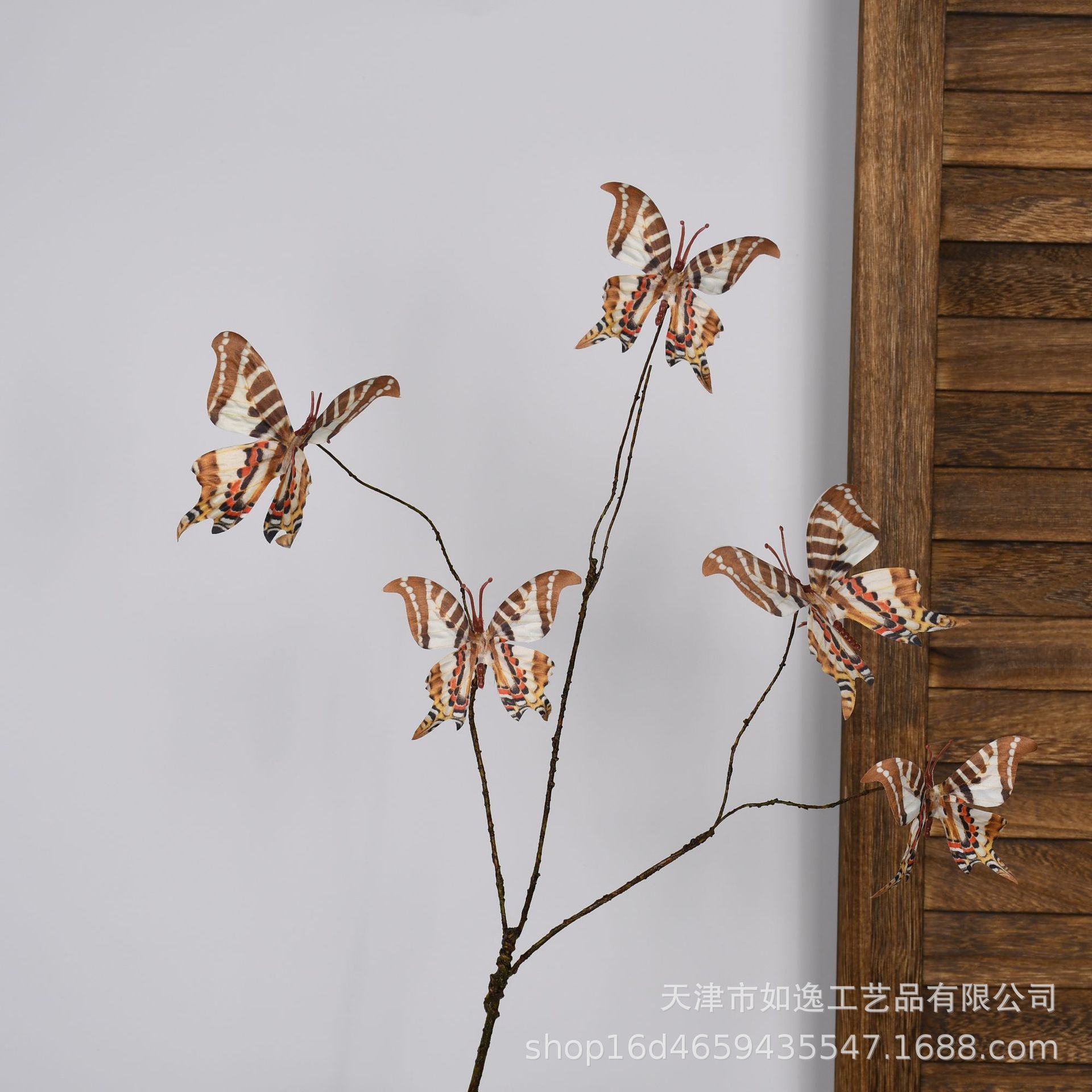 102-호랑나비-5머리