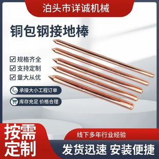 Manufacturer Wholesale Lightning Protection Copper-Clad Steel Grounding Rod Copper-Clad Steel Grounding Rod Electroplated Copper Grounding Rod Copper-Clad Steel Grounding Rod