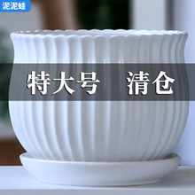 �մɻ��莧�бP�ش��̖��������҃ȼ��õ��m�G�}����]