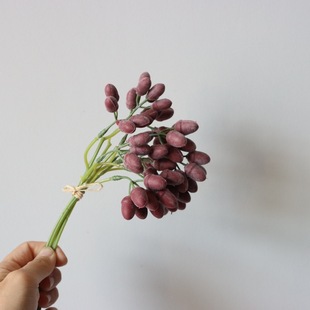 ����С��� ܛ�z������������c�Ҿӷ��滨�������