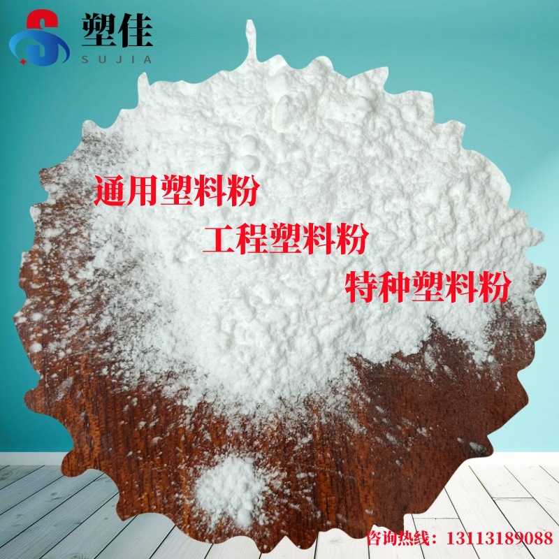 法国阿科玛PA12粉料 2002 ES6 NAT 3 涂料油墨清漆复合材料添加剂