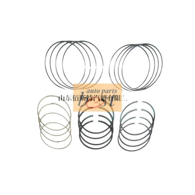 02950 2304002950, Piston, piston ring, piston pin