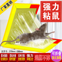 粘鼠板批发粘老鼠板抓大号老鼠沾逮鼠捕鼠灭鼠器厂家直销包邮代发