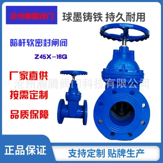 厂家定制软密封闸阀Z45X-16Q暗杆明杆球墨铸铁闸阀 出口英标闸阀