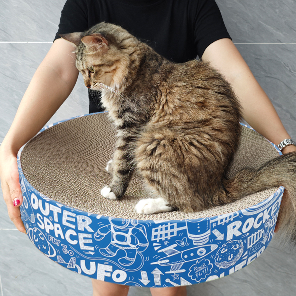 微信图片_20240816225641