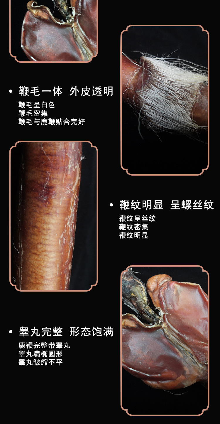 Dried Deer Penis Whole Piece Jilin Changbai Mountain Traditional Tonic Ingredient for Cooking specifications