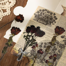 �f�՚����͹��زļ�����õ���N������Ӣ�������~�bɕ����㺞