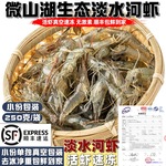 微山湖淡水小河虾新鲜活虾速冻野生淡水草虾大号青虾醉虾商用顺丰