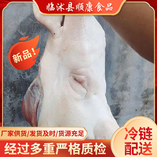 �S�����l���ĸ�i�^ ����ĸ�i�^�r��ɢ�B���i�i�^�⎧��ĸ�i�^