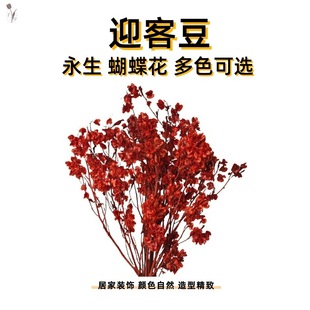 ������ӭ�Ͷ��������������Ҿ��b������b�c���������^�껨��