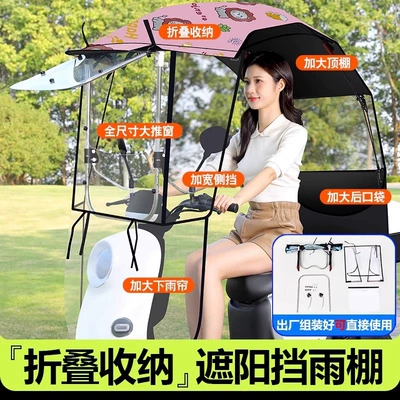 New Style Detachable Folding Retractable: Elektromobil üçün ön şüşə çətiri (günlük) - g1-sunscreen-black-glue-quick-storage-adjustable-push-window-three-dimensional-side-shield-pink-lion-other