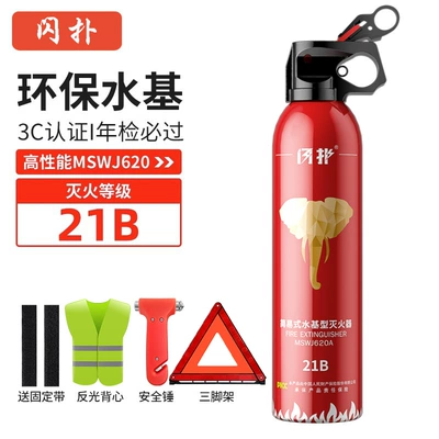 Vehicle fire extinguisher, High Temperature Resistant Explosion-Proof 21B Water-Based - high-performance-21b-fire-extinguishing-level-620ml-annual-inspection-three-piece-set