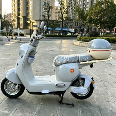 Universal Elektrikli Nəqliyyat Vasitəsi Baqajı, Motosiklet Quyruq Qutusu, Elektrikli Skuter Saxlama Qutusu