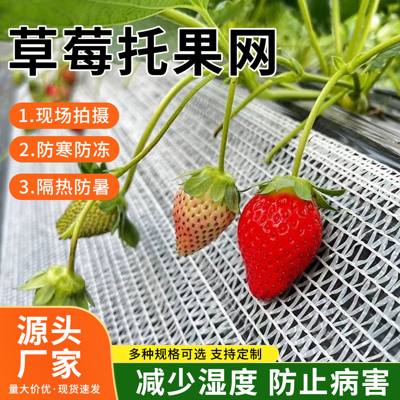 Ground-Planting Strawberry Fruit Support Net, White New Material Anti-Aging Isolation Net, Greenhouse Strawberry Frost Protection and Shading Net Ground-Planting Strawberry Fruit Support Net, White New Material Anti-Aging Isolation Net, Greenhouse Strawberry Frost Protection and Shading Net