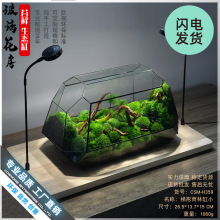 ̦�\΢���^���B�������쾰���������Bƿ���ӼҾӔ[��ɭ�ֻ�������