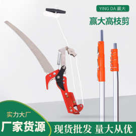 赢大两滑轮高枝剪园林工具摘果剪高空剪带锯片伸缩铝合金杆