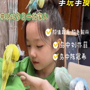 �W�^���B���fԒ���^��Ƥ�W�^���B�������B���wС�B���P�����^�p