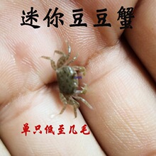 ���㶹��з��~�D�ϻ��w���������^�p����з��ˮ��ˮ��ͯ���