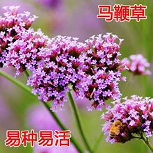 ���~�R�޲ݷN�ӡ��������޸��N��ͥԺ�̨ �׻��ļ������޸����N
