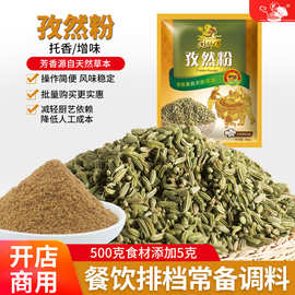 孜然粉 商用香辛料调味品植物调味香料 烧烤撒粉闽师傅400克x1袋