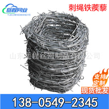 冷镀14号丝铁蒺藜包塑双股12号丝刺丝围栏滚笼热镀高锌刺绳刀刺网