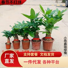 һ�����l�lؔ��С�������҃�ֲ���k����������ؔ���辰�ļ������