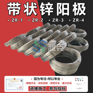 �����\ꖘOZR-2 �����\�Ͻ����ꖘO �\��ꖘOZR-1 �̑Bȥ�����