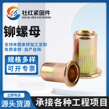�T��ĸƽ�^С߅ȫ���ǰ������Q�y僲��\���T��ĸ���P䓝L����ĸ