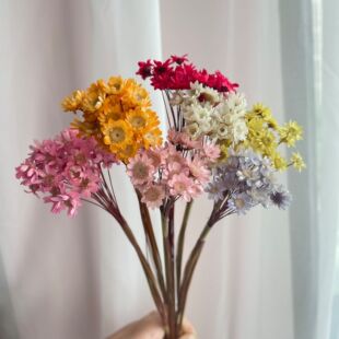 ��������Ǿ��Ĕz���߸ɻ��r��С�ǻ������ڼt�û�diy�옷���tɫ