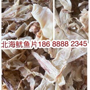 Платы выставки Squid Squid Squids Beihai