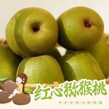 ���x�Ĵ��ֽ��Fժ�t�īJ�������r�����殐��ˮ���������l�羳���