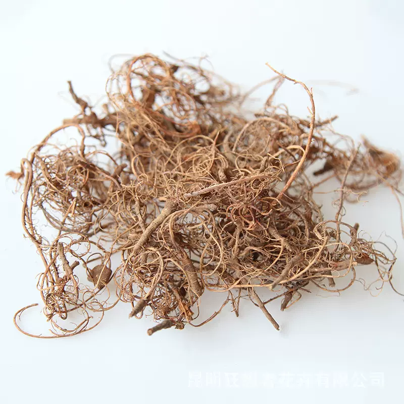 狂想者干花新品【乱草】植物标本相框圣诞装饰手工diy干果材料包