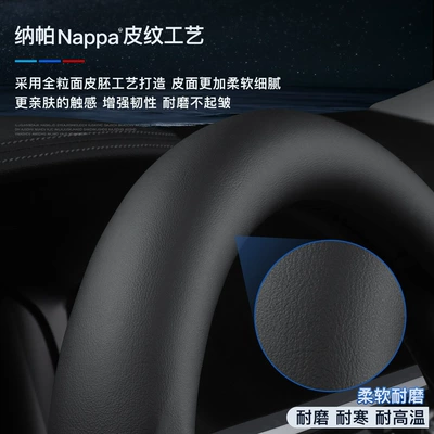 Teana Blue Bird Qijun 2022 | Steering wheel cover