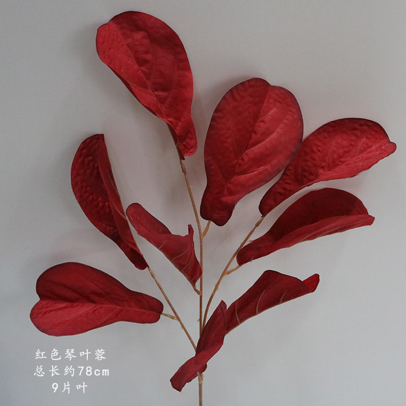 붉은 피아노 잎 한 가지