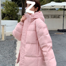 qŮ̿2025¿nӺСBñHБ򰱾]