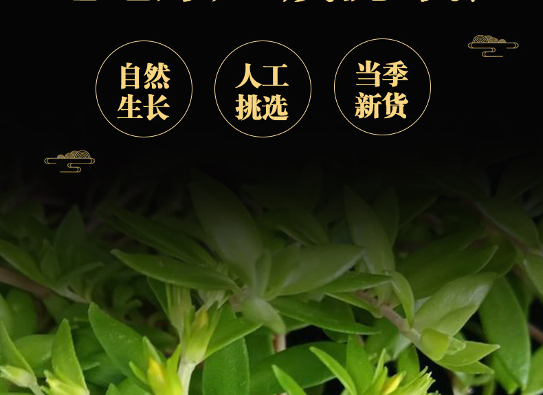 Dried Sedum Herb Chui Pen Cao 500g Wild-Crafted Whole Plant for Tea and Decoction key features