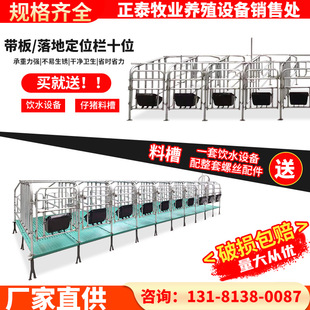母猪定位栏猪用半限位栏落地式带漏粪板养殖设备器械猪用限位栏-阿里巴巴