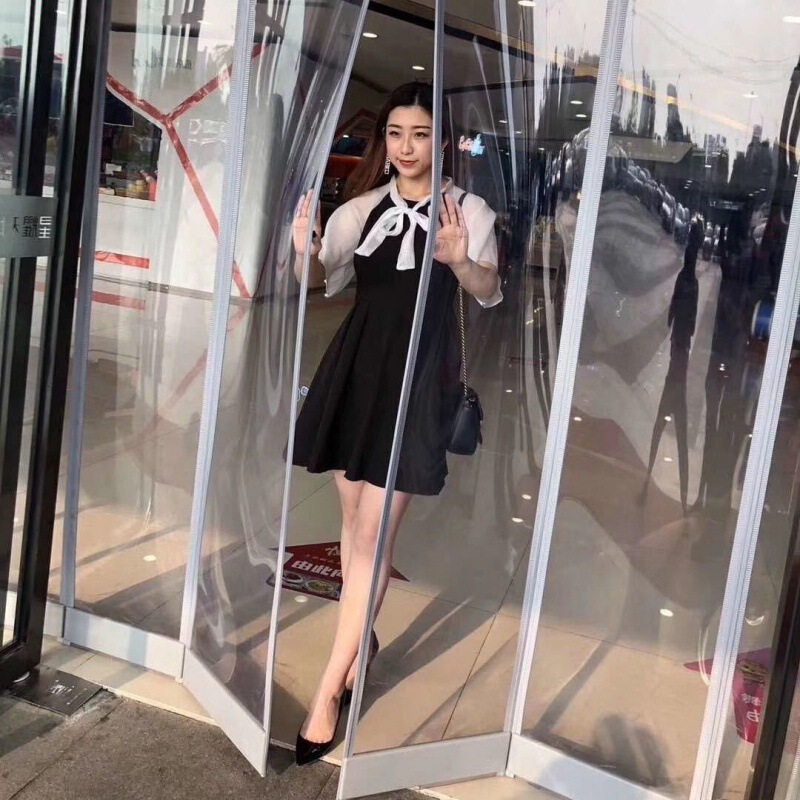 Magnetic Transparent Soft Door Curtain Air Conditioner Windshield Curtain Windproof, Coldproof, Dustproof and Air-Conditioning Magnetic Door Curtain for Home Use