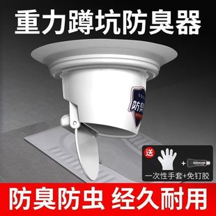 �ױ��������������³����׿��l���g�]��������ض���������ζ