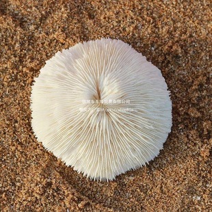 �A��0�ջ������b�Ʒ�[�����ź�ˮ����ɺ����Ȼ�~���쾰ؐ��