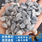 浅灰色石子水磨石胶粘石庭院装饰造型用深灰色石子景观砾石鹅卵石