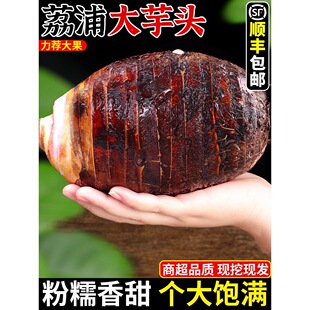 �V���������r�����^9���r�ҬF�ڷ�����������������S���]3