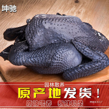 ɢBuurҞuСuurĸuߵuֻu⃞x