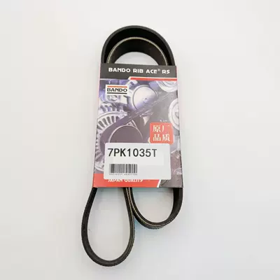 Belt drive belt for