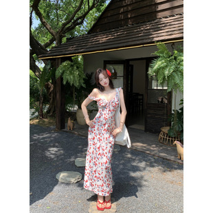 꿿��_ �ǝn����  �ļ����С�w�������@���L���h���B��ȹ