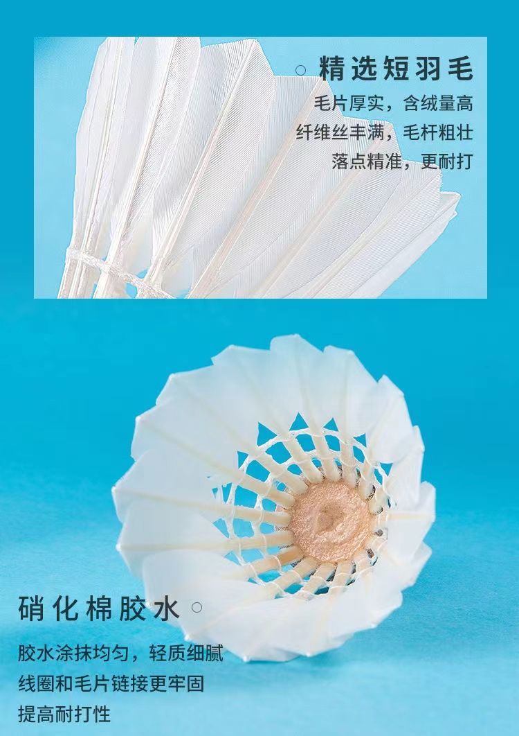 8df88436-7e19-42cb-8f0f-39ac6ebb43b2.jpe