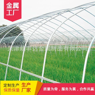 Q235镀锌单体圆形大棚管 DN150 DN100椭圆养殖蔬菜农用大棚钢管