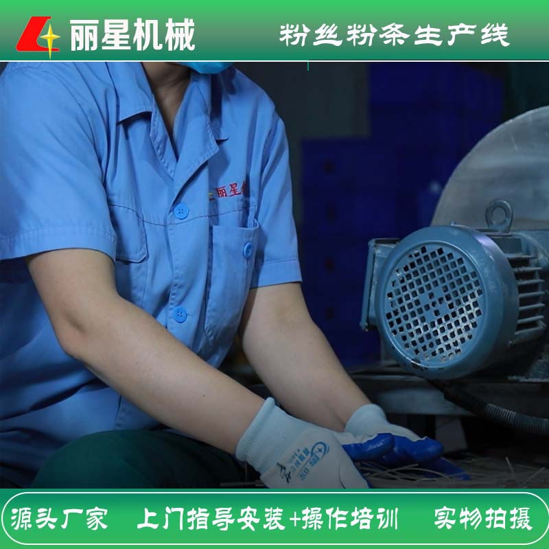 免晾晒的粉条粉丝机厂家，丽星红薯粉条设备有日产2-12吨的型号