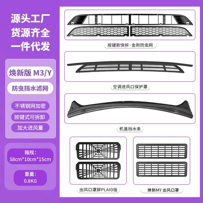 Other Car Modifications — Y Insect Screen, Model 3