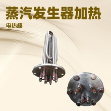 提供  电加热发热管 电机水泵 水泥管辅助加热蒸汽锅炉 发生器